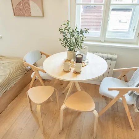 Old Town-premium Studio-lift-quiet-netflix Appartement Praag